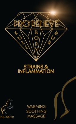 PRO RELIEVE Arnica Strains & Inflammation Maść