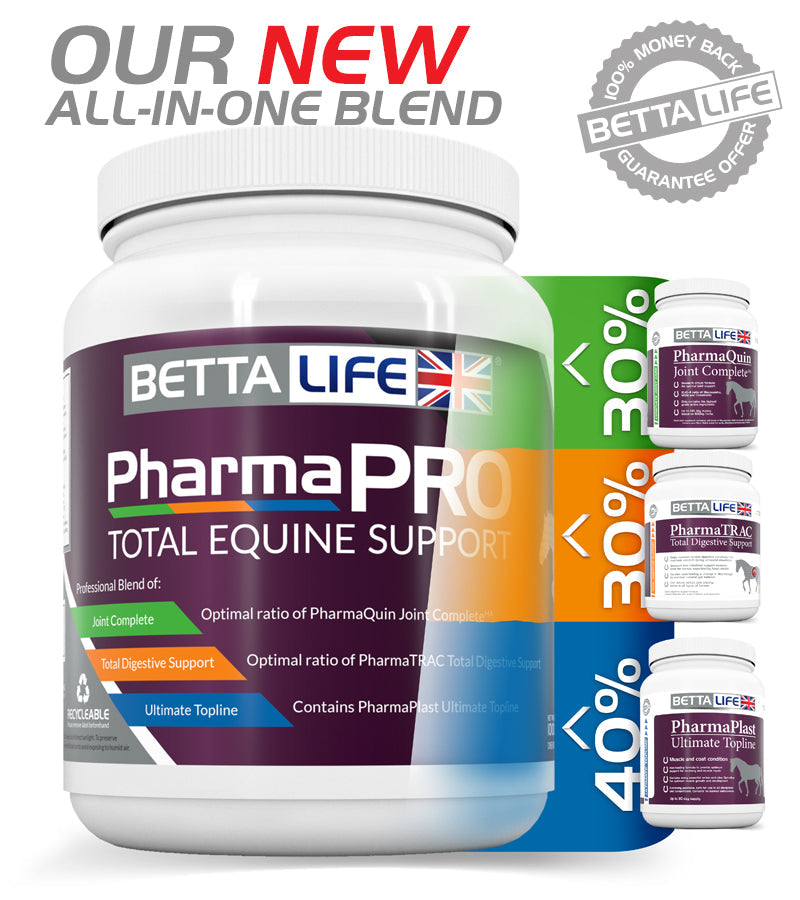 BETTALIFE PHARMAPRO KOMPLEKSOWE WSPARCIE DLA KONI