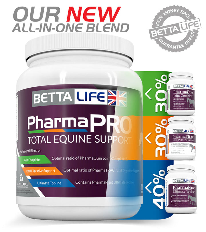 BETTALIFE PHARMAPRO KOMPLEKSOWE WSPARCIE DLA KONI