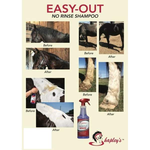 Spray Shapley'a Easy Out