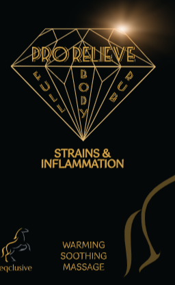 PRO RELIEVE Arnica Strains &amp; Inflammation Maść