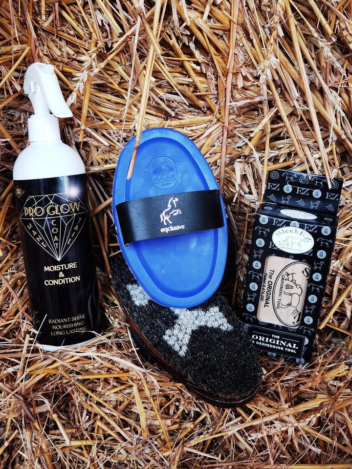 Eqclusive Pro Diamond Winter Essential Pack