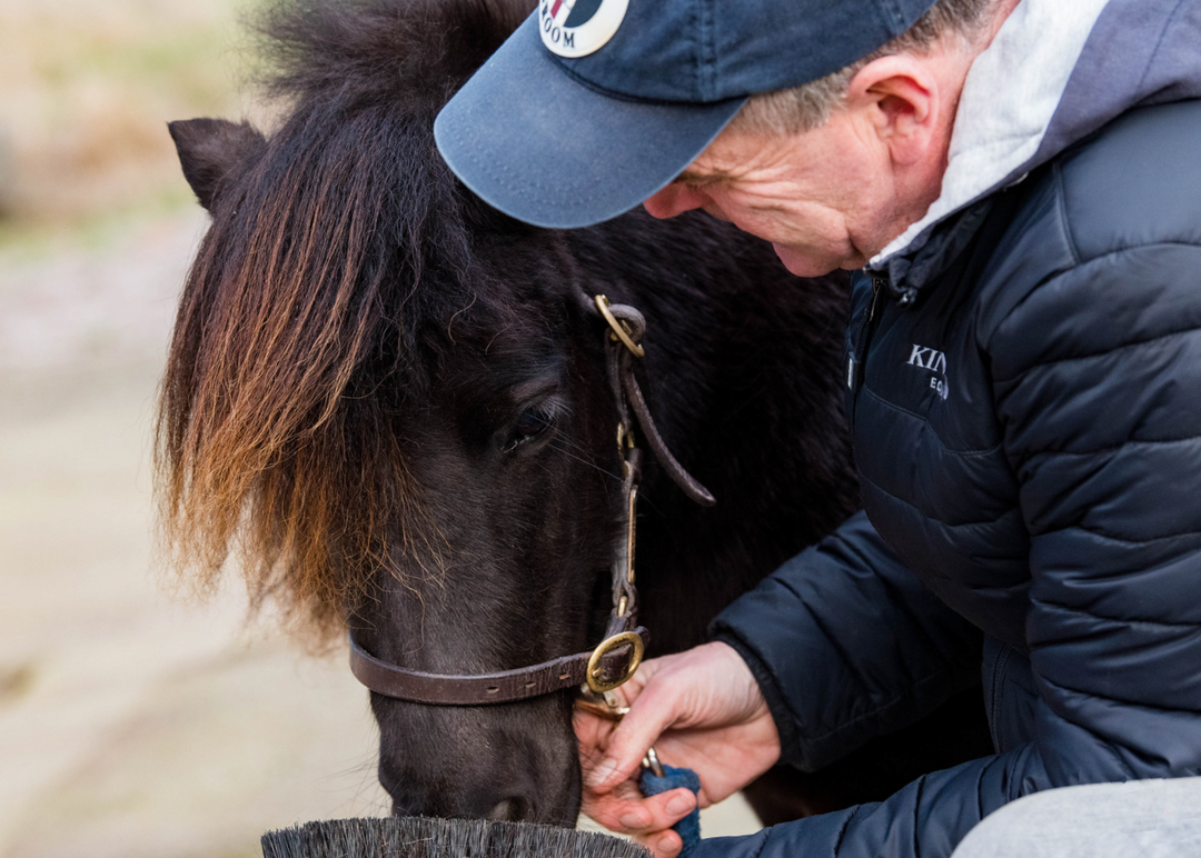 Alan Davies' Mountain & Moorland Must-have brushes