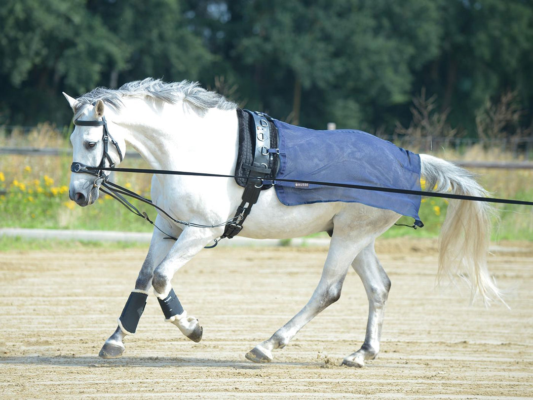 BUSSE Lunging Sheet FLY 