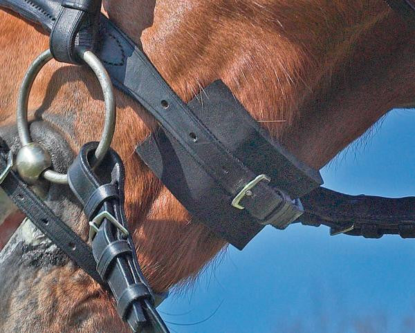 BUSSE Bridle-Pad EVERLINE  - Eqclusive  - 2