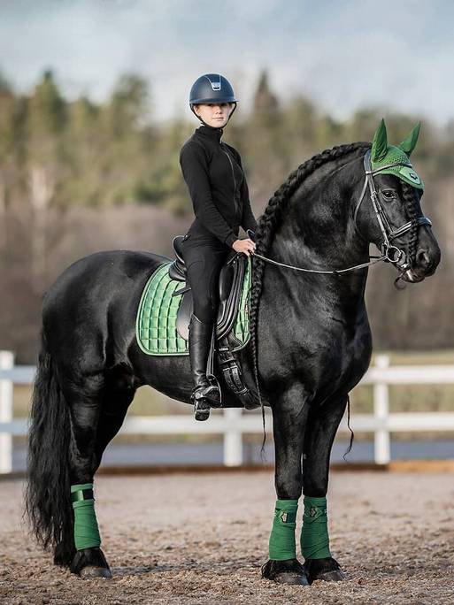 Satynowe bandaże polo LeMieux Loire