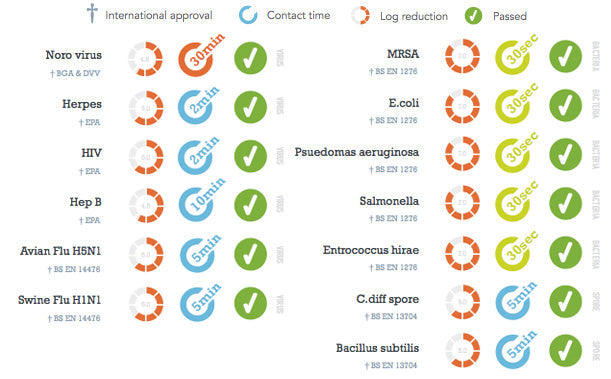 CLEANROUND SAFE HANDS ANTYBAKTERYJNY PŁYN DO DEZYNFEKCJI RĄK