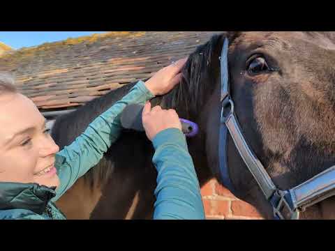 PRO LUMI Brokat i Nabłyszczacz w sprayu