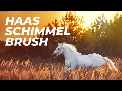 HAAS Schimmel damskie