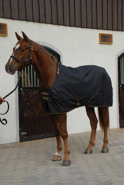 BUCAS Derka Padokowa IRISH TURNOUT LIGHT/50 CLASSIC 145cm