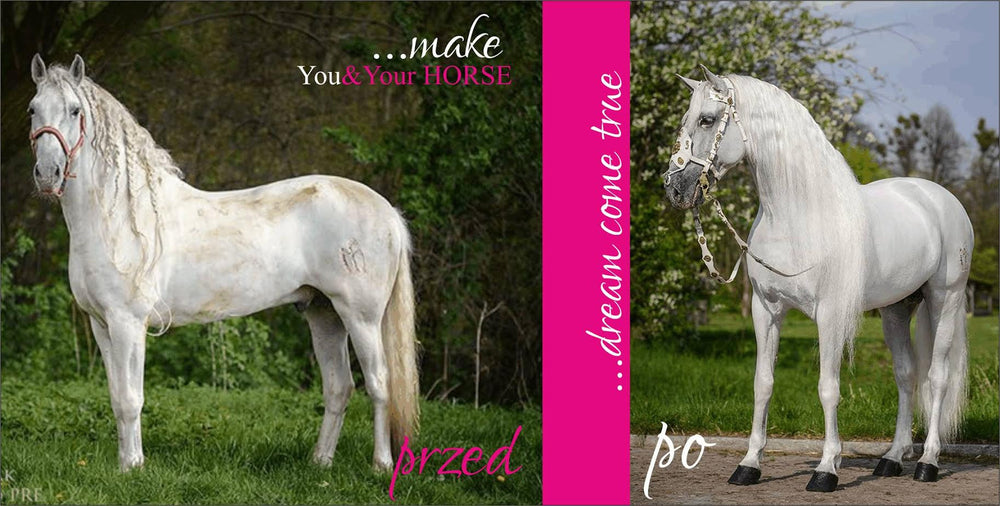 You&YOUR HORSE Szampon dla koni Siwych, Białych, Palomino, Cremello, Tarantowatych, Dereszowatych, Łaciatych (np: tinker) -WHITE PEARL