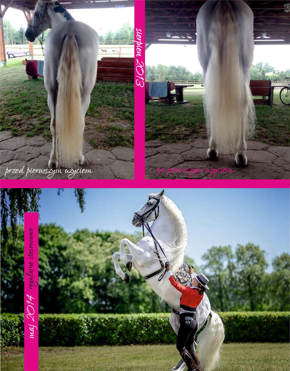 You&YOUR HORSE Szampon dla koni Siwych, Białych, Palomino, Cremello, Tarantowatych, Dereszowatych, Łaciatych (np: tinker) -WHITE PEARL